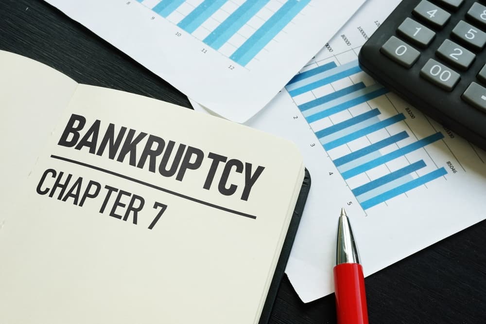 Bankruptcy Chapter 7 Documents