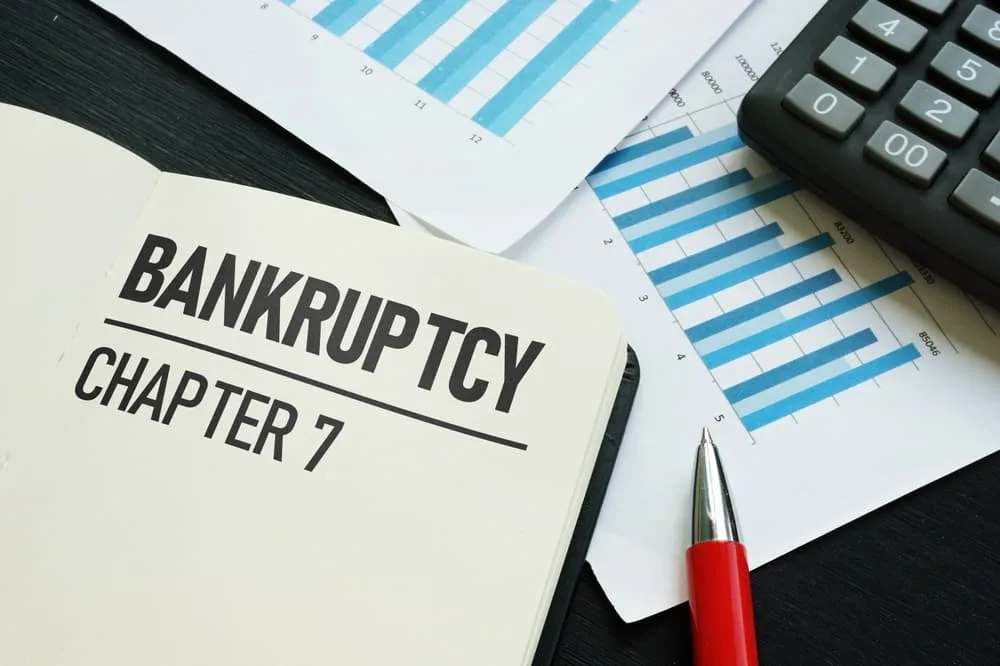 Bankruptcy Chapter 7 Documents