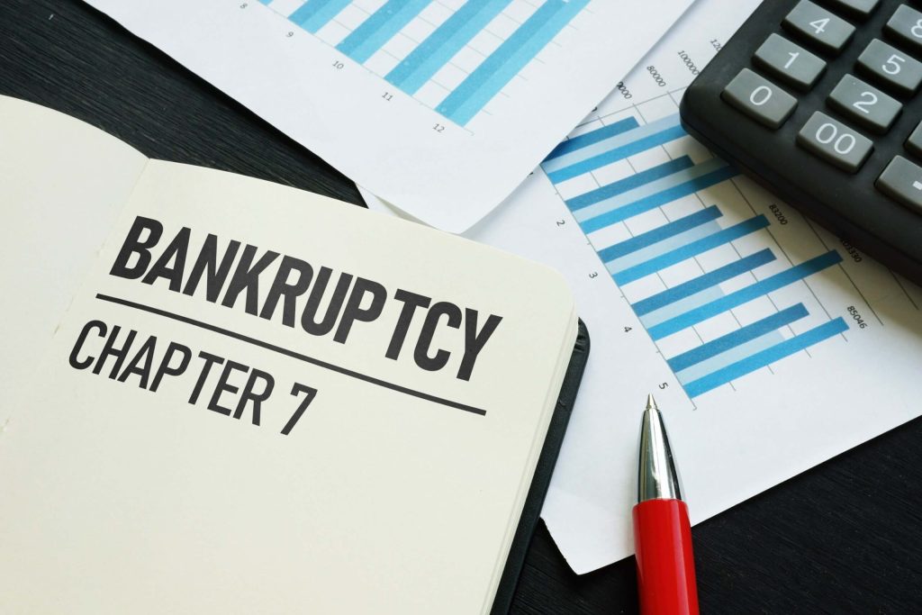 Chapter 7 bankruptcy is shown using text