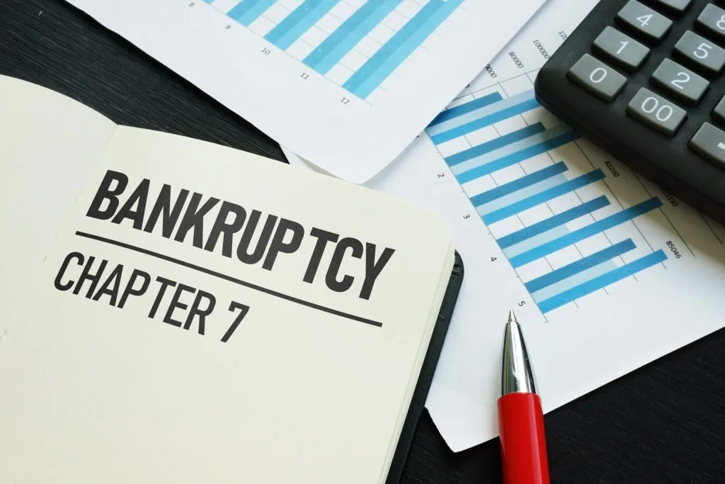 Chapter 7 bankruptcy is shown using text